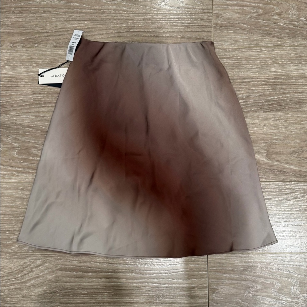 NWT Aritzia Skirt